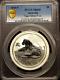 2010 Australia 5 Ounce. 999 Fine Silver Year Of The Tiger Certified Pcgs Ms 69