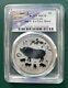 2019 Australia Year Of Pig 1 Oz 9999 Silver Coin With Fu Privy Mark Pcgs Ms 70