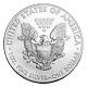 Lot Of 100 X 1 Oz Random Year American Eagle Silver Coin