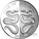 Mirror Snake Chinese Lunar Year 1 Oz Silver Coin 5$ Tokelau 2025
