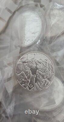 Pack of 15oz Fine Silver Coin Random Year and Condition 2oz 1oz Silver 999