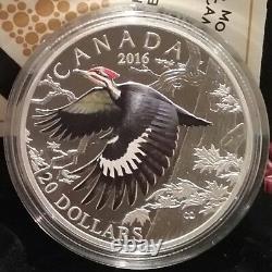 Pileated Woodpecker 100Years Protection $20 2016 1OZ Silver Coin Migratory Birds