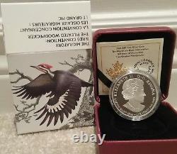 Pileated Woodpecker 100Years Protection $20 2016 1OZ Silver Coin Migratory Birds
