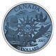 Polar Year 2007 Canada $20 Sterling Silver Plasma Coin